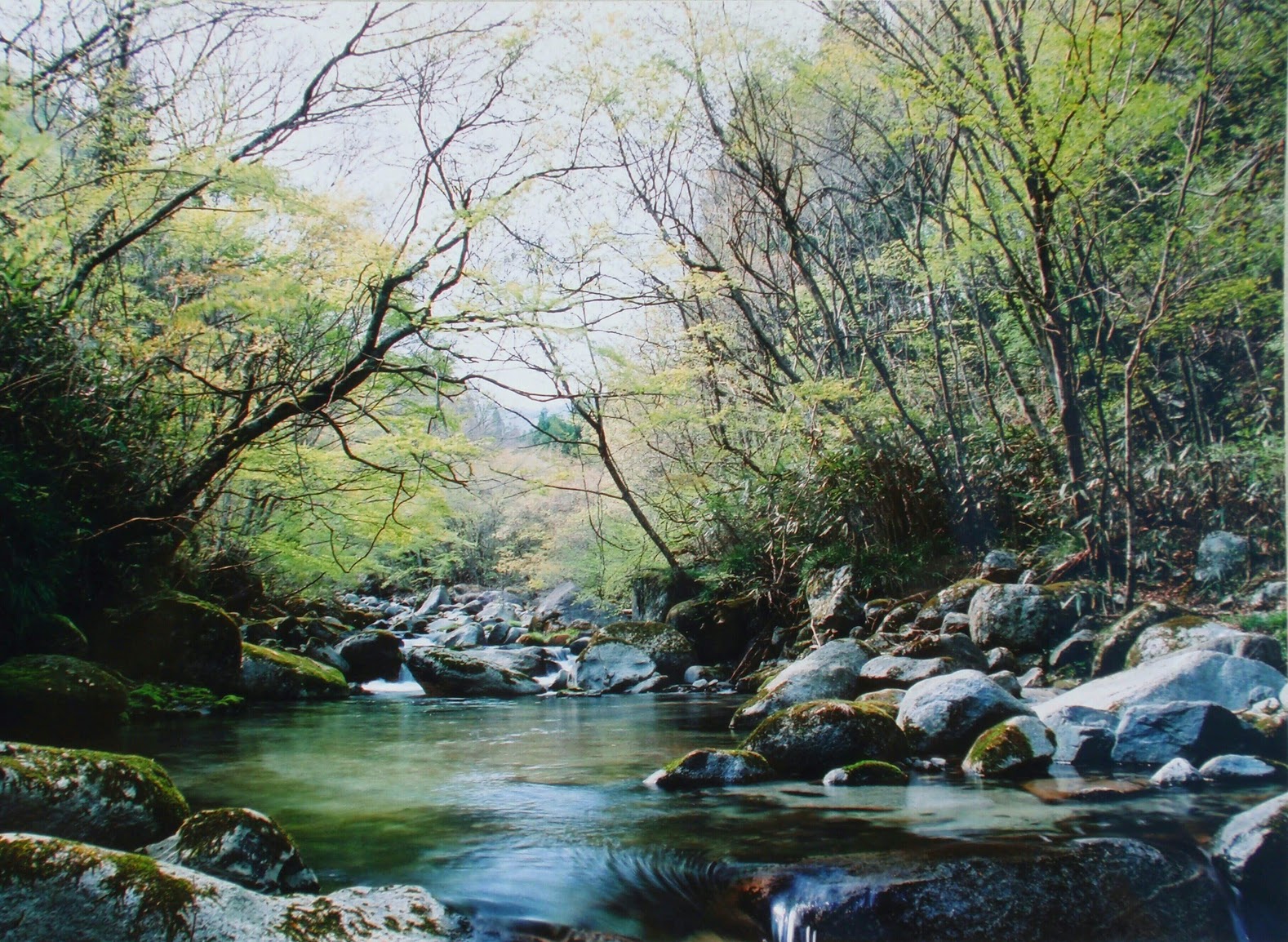 yozukugawa